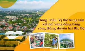 Đông Triều: Vị thế trung tâm kết nối vùng đồng bằng sông Hồng, duyên hải Bắc Bộ