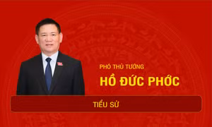 Tiểu sử Phó Thủ tướng Hồ Đức Phớc