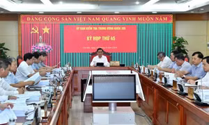 Bộ Chính trị, Ban Bí thư quyết định thi hành kỷ luật một số tổ chức đảng và đảng viên