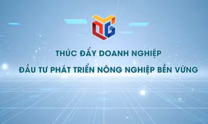 Thúc đẩy doanh nghiệp đầu tư phát triển nông nghiệp bền vững