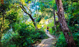 Trekking đỉnh Cao Xiêm 