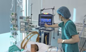 Cảnh báo bệnh dại, không chủ quan với chó, mèo nuôi trong nhà