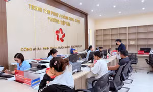 Tích cực số hóa dữ liệu, tăng kết nối, tối ưu dịch vụ công