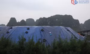 TKV chủ động ứng phó với bão số 9
