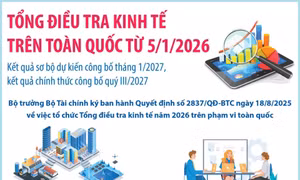 Tổng điều tra kinh tế trên toàn quốc từ 5/1/2026