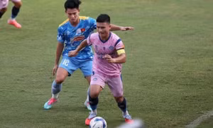 Tuyển Việt Nam vẫn rớt hạng FIFA dù không đá với ai