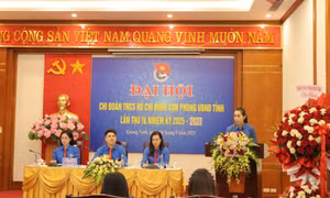 Đại hội Chi đoàn Văn phòng UBND tỉnh Quảng Ninh nhiệm kỳ 2025-2027
