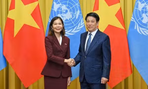 Chủ tịch nước Lương Cường tiếp Điều phối viên thường trú và Trưởng đại diện các tổ chức Liên hợp quốc tại Việt Nam