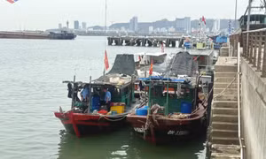 Kiểm soát chặt hoạt động khai thác thủy sản