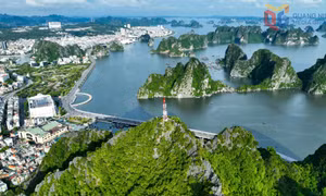 Nâng tầm ngành kinh tế mũi nhọn