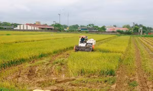 Hướng đến nền nông nghiệp xanh, bền vững