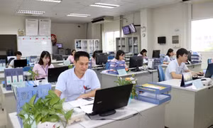 Kế hoạch sắp xếp đơn vị sự nghiệp công lập, doanh nghiệp nhà nước, tổ chức bên trong hệ thống hành chính nhà nước