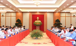 Bộ Chính trị cho ý kiến về công tác chuẩn bị Đại hội Đảng bộ Mặt trận Tổ quốc, các đoàn thể Trung ương