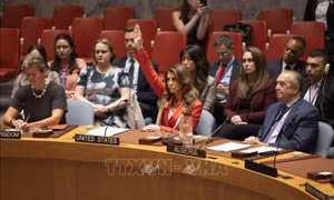 Mỹ phủ quyết Nghị quyết HĐBA LHQ kêu gọi ngừng bắn ngay lập tức ở Gaza