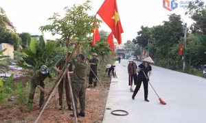 Cao điểm vệ sinh môi trường, chỉnh trang đô thị chào mừng sự kiện trọng đại của tỉnh 
