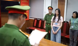 Truy tố Hoa hậu Nguyễn Thúc Thùy Tiên, Quang Linh Vlogs, Hằng Du mục