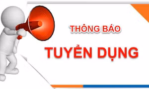  Thông báo tuyển dụng công chức vào làm việc tại các cơ quan hành chính tỉnh Quảng Ninh năm 2025 (Đợt 1)