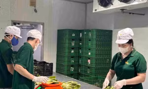 Xây dựng thương hiệu để nông sản Việt vươn xa