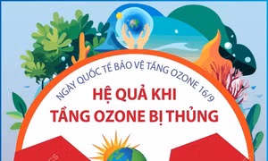 Lỗ thủng tầng Ozone và hệ lụy khôn lường cho sự sống