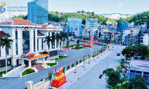 Hân hoan hướng về ngày hội lớn của Đảng bộ tỉnh