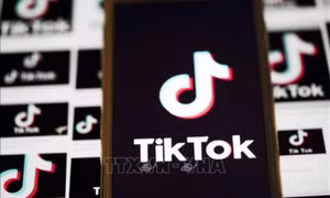 Mỹ chốt thỏa thuận để Oracle quản lý thuật toán TikTok