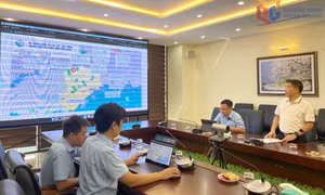 Chuyển đổi số toàn diện, bền vững