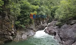 Phát triển du lịch sinh thái rừng