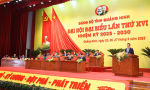 Phát huy tinh thần trách nhiệm, trí tuệ 
