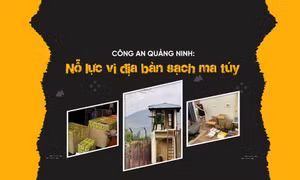Công an Quảng Ninh: Nỗ lực vì địa bàn sạch ma túy
