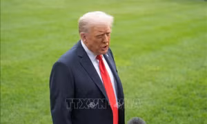 Mỹ: Tòa phúc thẩm bác kháng cáo của Tổng thống D.Trump trong vụ kiện phỉ báng nhà báo