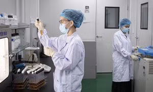 Cơ chế, chính sách thu hút chuyên gia khoa học, công nghệ, đổi mới sáng tạo và chuyển đổi số
