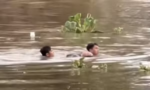 Hai thanh niên nhảy sông cứu người phụ nữ đuối nước