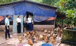 Phát huy vai trò của cán bộ mặt trận ở cơ sở