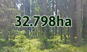 32.798ha - là diện tích trồng rừng toàn tỉnh từ đầu năm đến nay