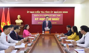 Kỳ họp thứ nhất Ủy ban Kiểm tra Tỉnh ủy khóa XVI, nhiệm kỳ 2025-2030
