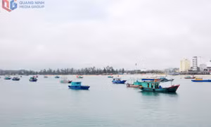 Hiện thực hóa mục tiêu phát triển đảo ngọc Cô Tô