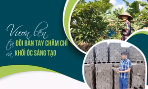 Vươn lên từ đôi bàn tay chăm chỉ và khối óc sáng tạo