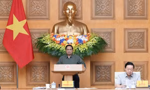 Quyết tâm chống khai thác IUU, phát triển ngành thủy sản bền vững