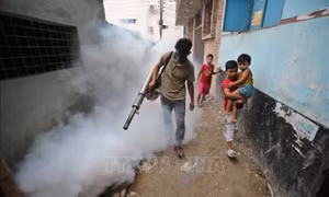 Bangladesh đối mặt cùng lúc nhiều bệnh truyền nhiễm do muỗi