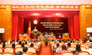 Kỳ họp thứ 31, HĐND tỉnh khóa XIV, tháng 9-2025