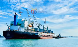 Nâng cao chất lượng điều hành thu ngân sách nhà nước