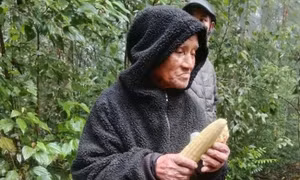 Tìm thấy cụ ông 78 tuổi lạc 7 ngày trong rừng sâu ở Đà Lạt
