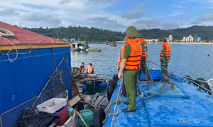 Khẩn trương triển khai các biện pháp ứng phó với bão Ragasa