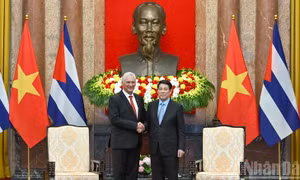 Làm sâu sắc hơn nữa mối quan hệ mẫu mực Việt Nam - Cuba