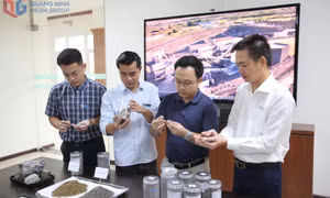  Thúc đẩy kinh tế tuần hoàn