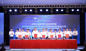 Tổng Công ty Phát điện 1: Lan tỏa tinh thần đổi mới sáng tạo và phát triển nguồn nhân lực