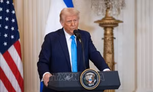 Thuế quan của Mỹ: Tổng thống D. Trump ký sắc lệnh áp thuế cao đối với gỗ và đồ gỗ nhập khẩu