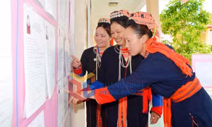 Bầu cử ĐBQH khoá XIV và đại biểu HĐND các cấp, nhiệm kỳ 2016-2021, tháng 5-2016
