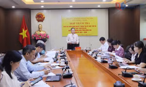 Ban Văn hoá - xã hội thẩm tra các tờ trình, dự thảo nghị quyết 