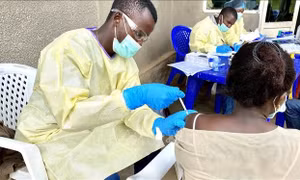 Dịch Ebola bùng phát tại CHDC Congo